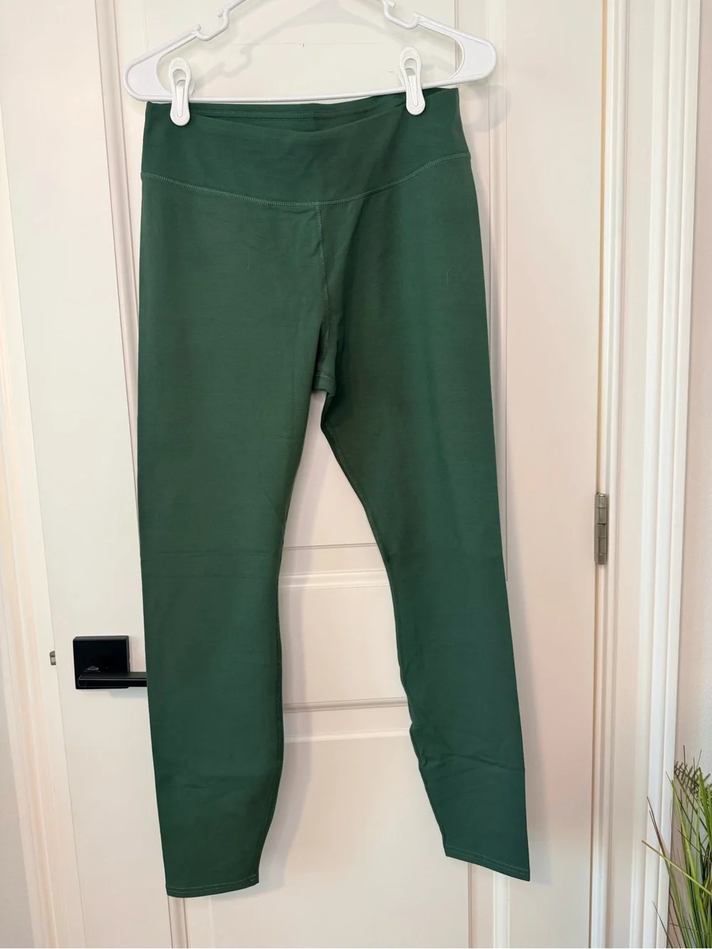 Pact Organic Cotton Legging NWOT